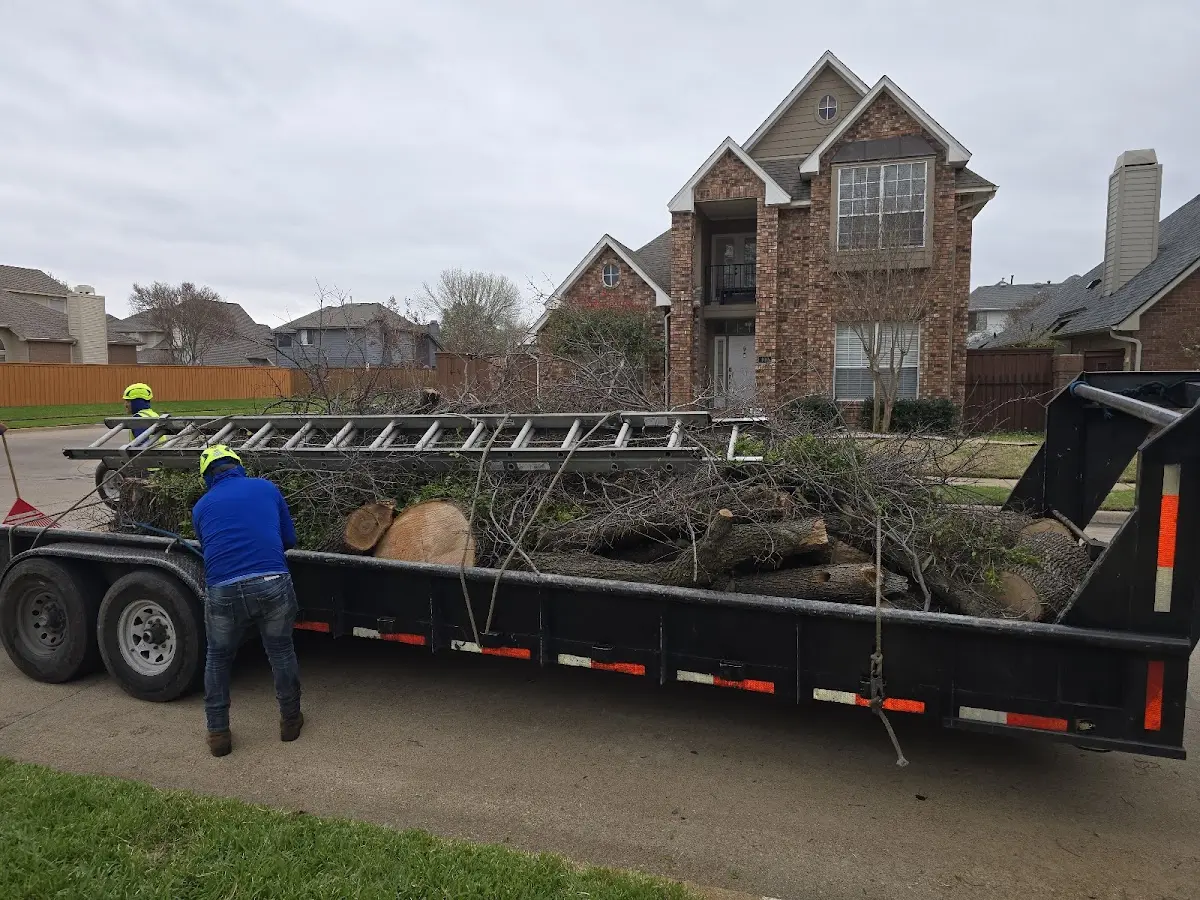 Expert Tree Pest Control with proper safety equipment in Morse Bluff